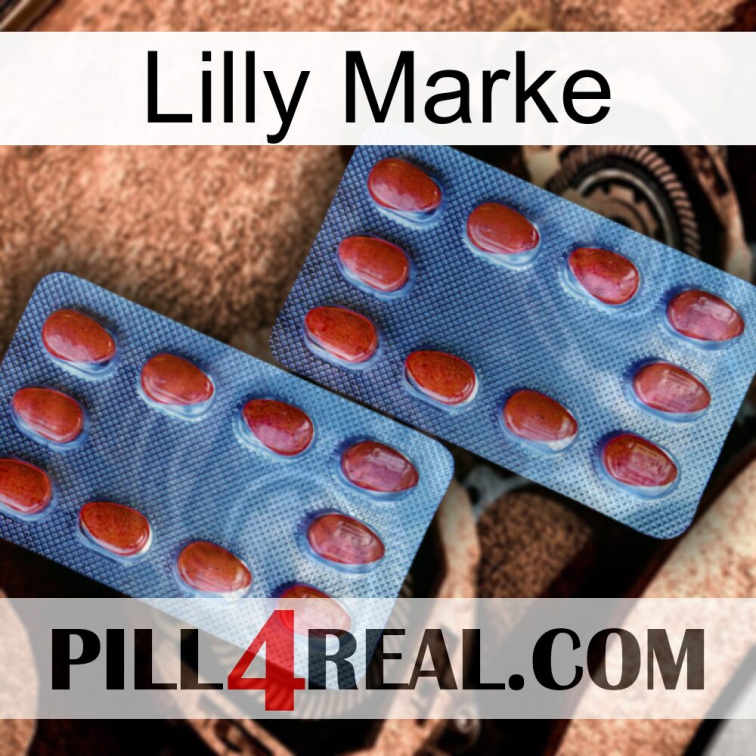 Lilly Brand 05